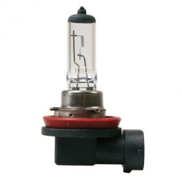 lampadina H11 