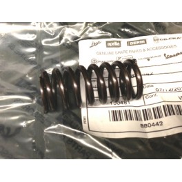 Molla Spingidisco originale Aprilia cod. 880442